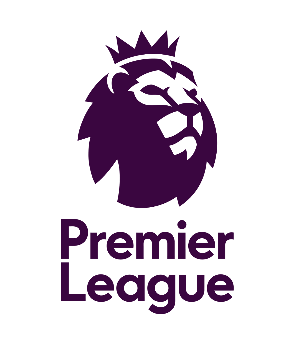 Maglie Premier League