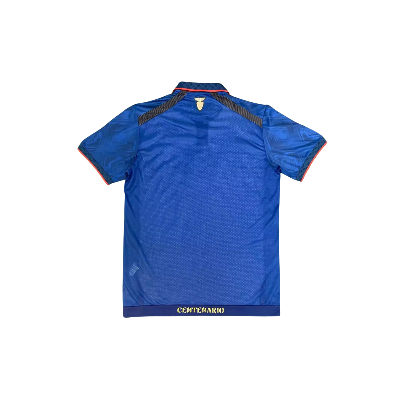 Maglia Ecuador Nazionale Edizione Centenario Home 2025/26